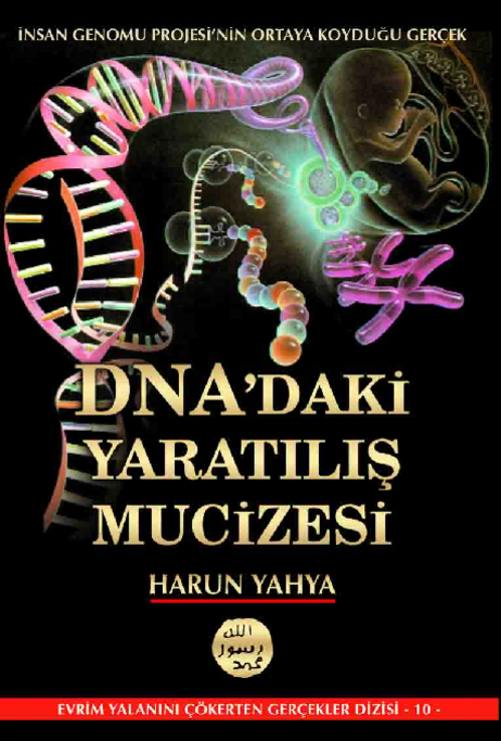 DNAdaki Yaratılış Mucizesi